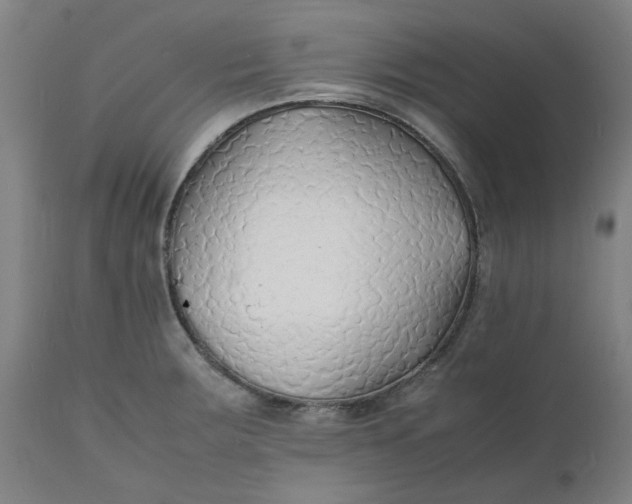 X0000112151283200908281331