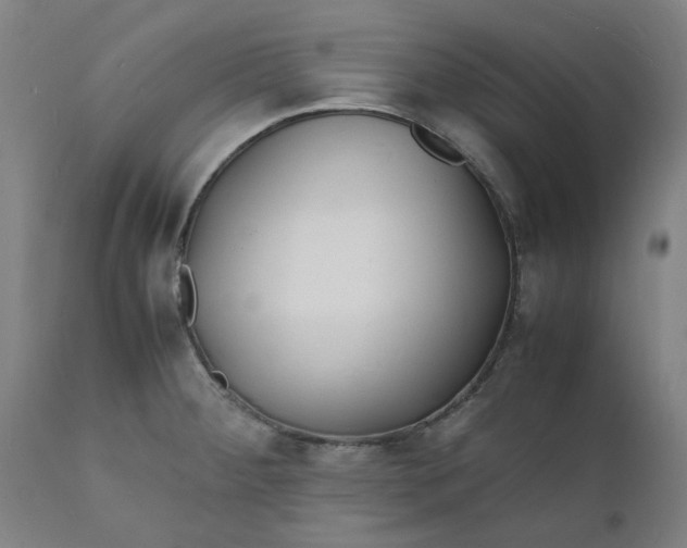 X0000112151284200908281331