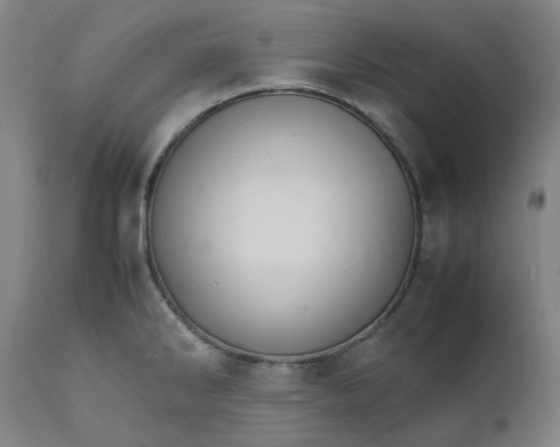 X0000112151286200908281331