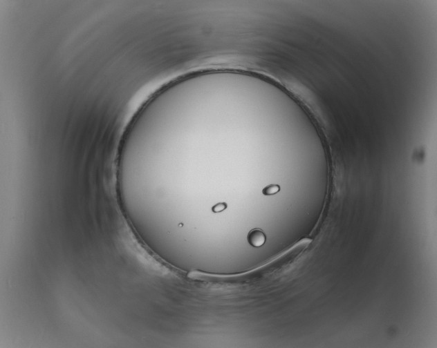 X0000112151288200908281331