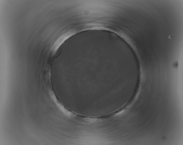 X0000112151289200908281331