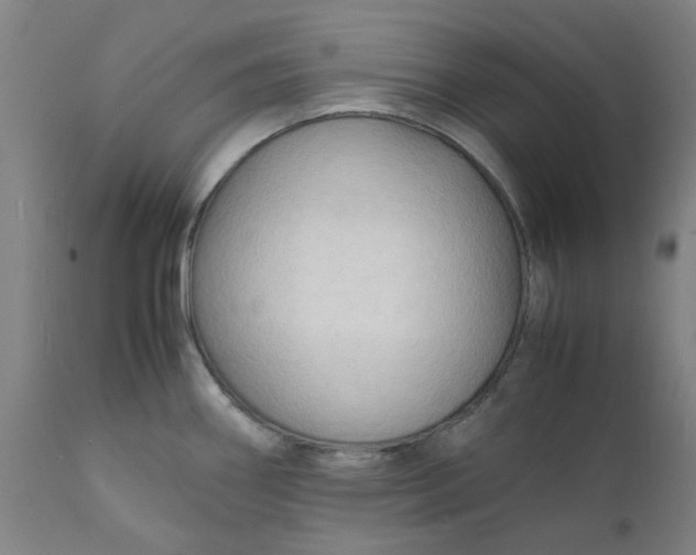 X0000112151290200908281331