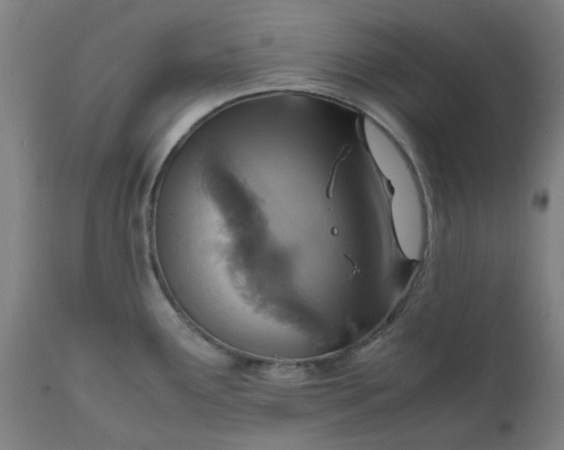 X0000112151291200908281331