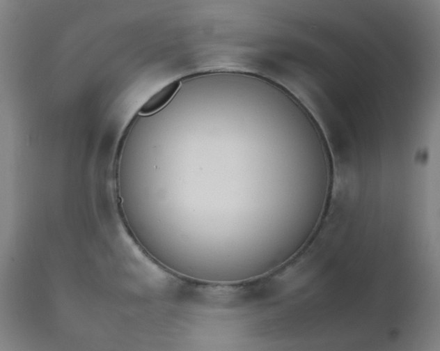 X0000112151293200908281331