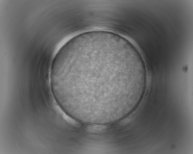 X0000112151294200908281331