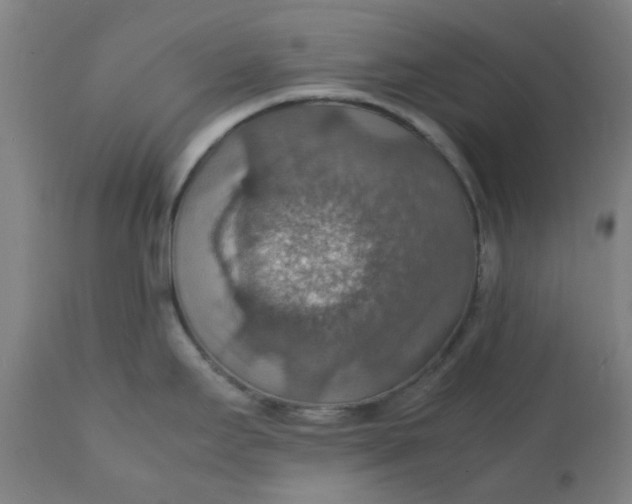X0000112151295200908281331