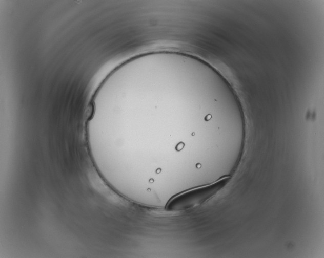 X0000112151296200908281331
