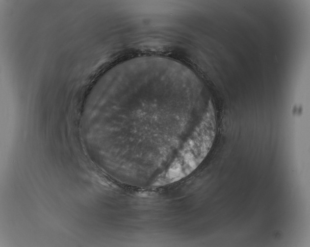 X0000112151297200908281331