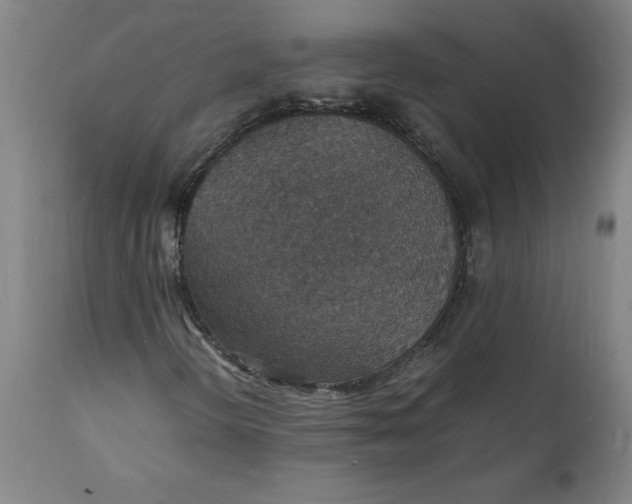 X0000112151298200908281331