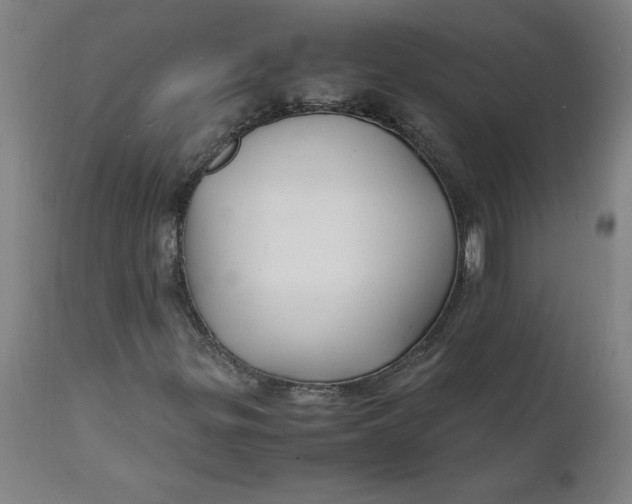 X0000112151299200908281331