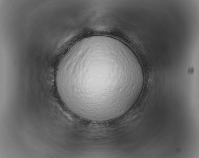 X0000112151301200908281331
