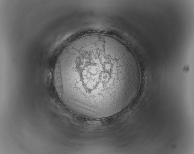 X0000112151302200908281331