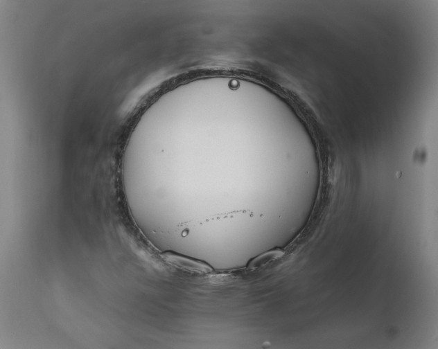 X0000112151304200908281331
