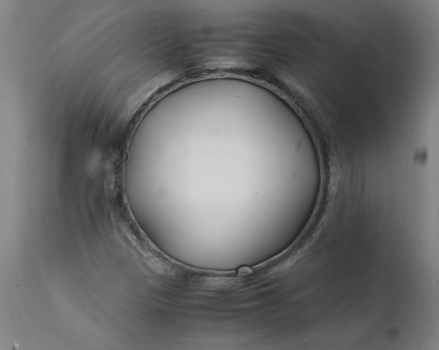 X0000112151305200908281331