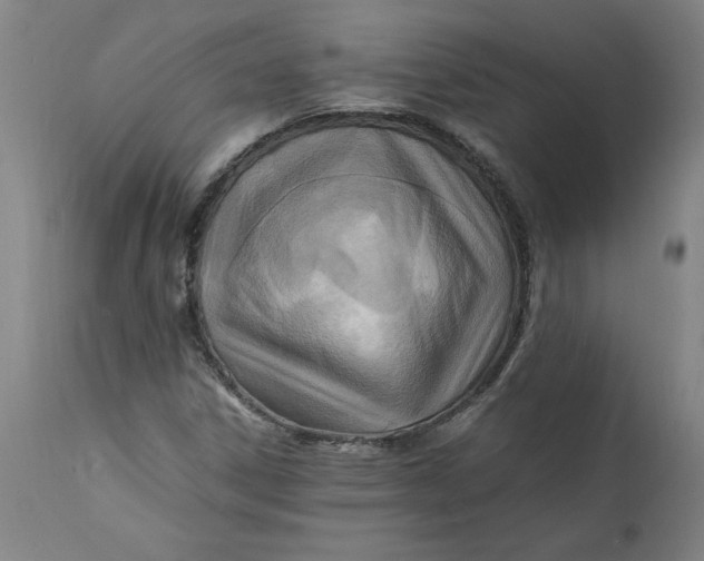 X0000112151306200908281331