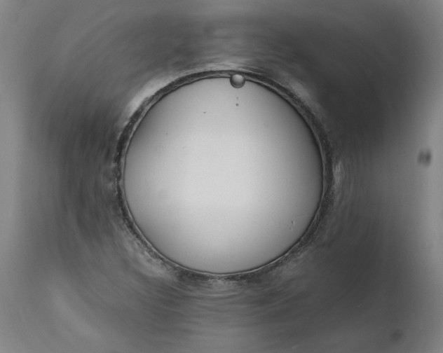 X0000112151308200908281331