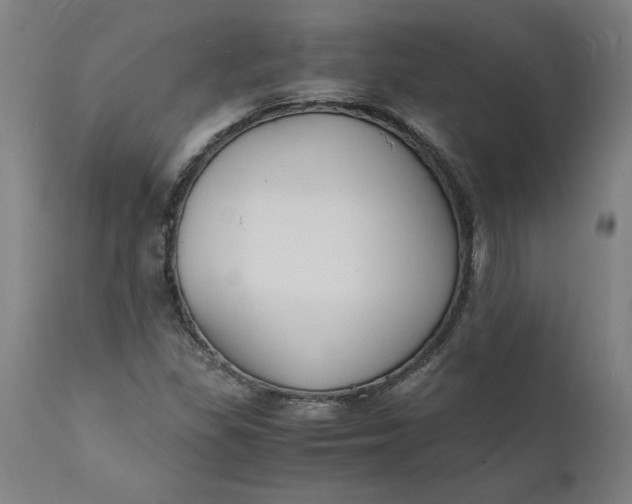 X0000112151309200908281331