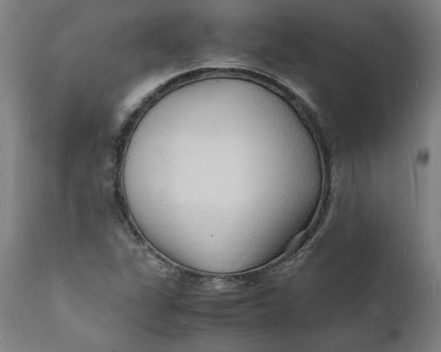 X0000112151311200908281331