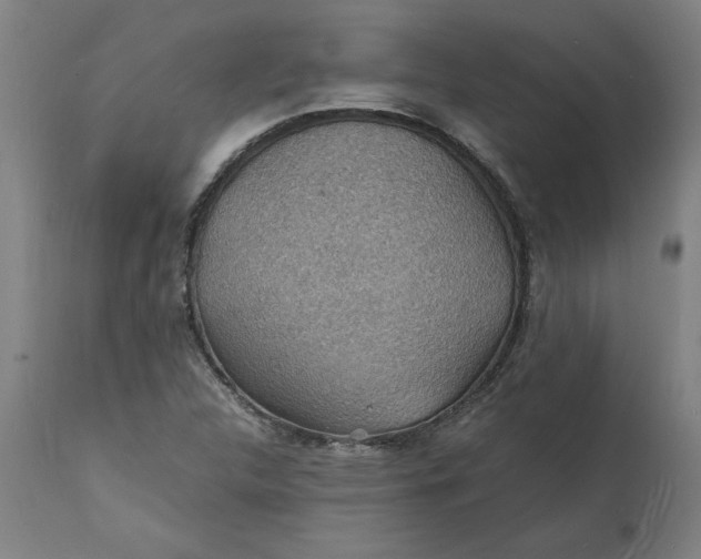 X0000112151312200908281331