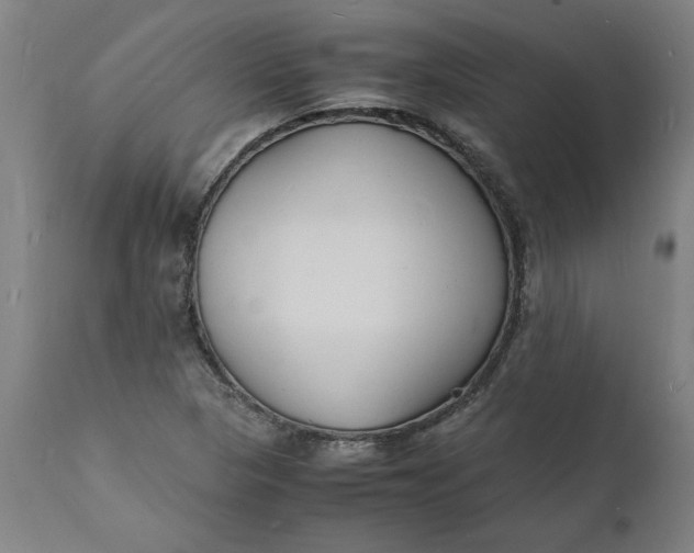 X0000112151313200908281331