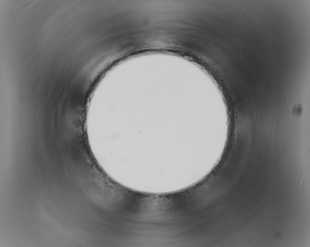 X0000112151314200908281331