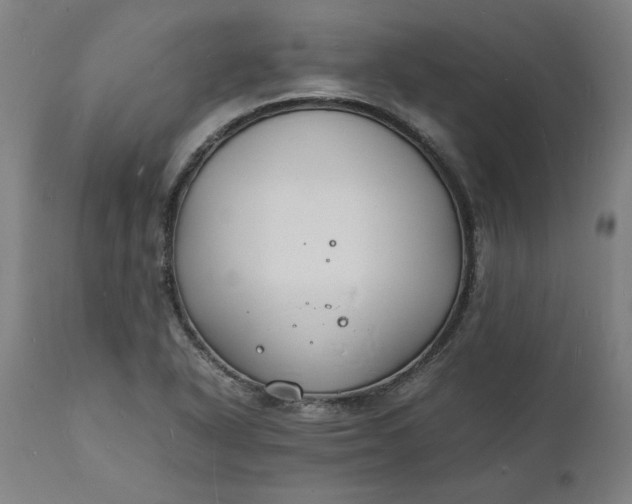 X0000112151318200908281331