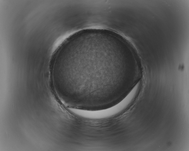X0000112151319200908281331