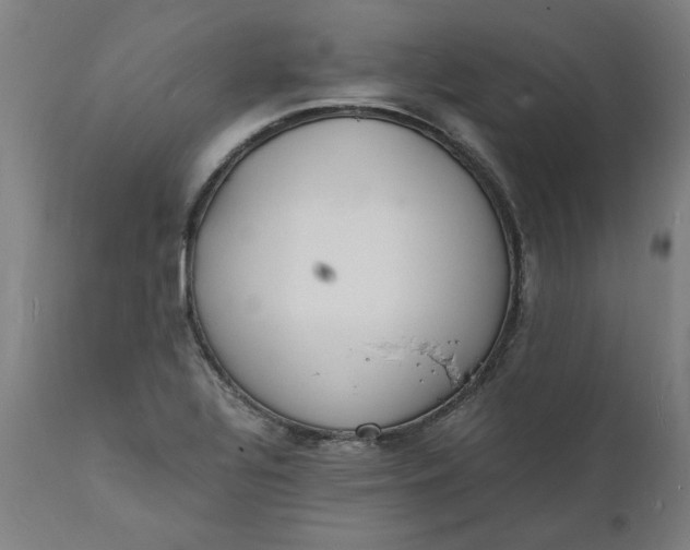 X0000112151320200908281331