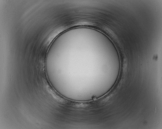 X0000112151321200908281331