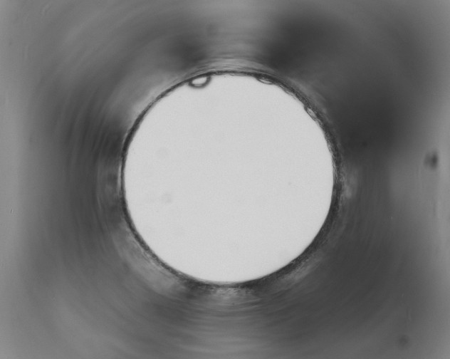X0000112151322200908281331