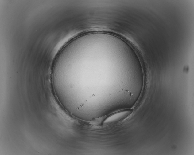 X0000112151325200908281331
