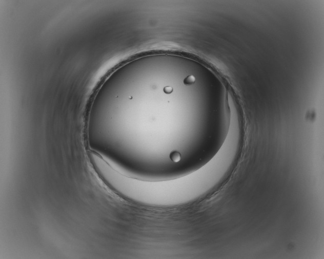 X0000112151326200908281331