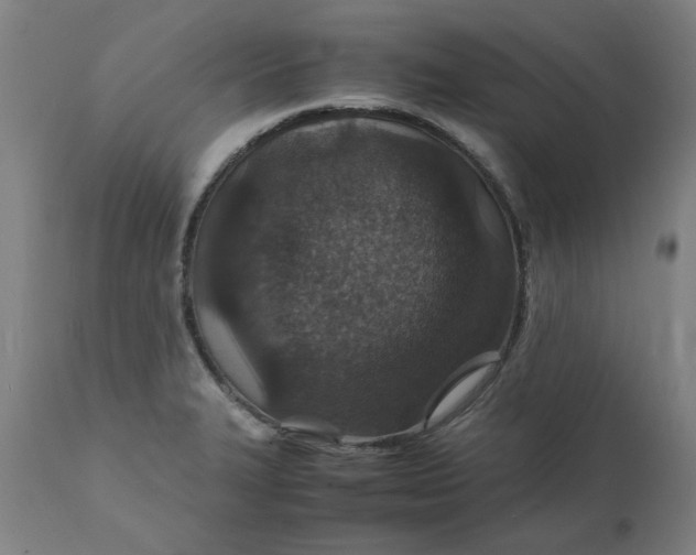 X0000112151327200908281331