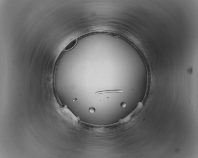 X0000112151330200908281331