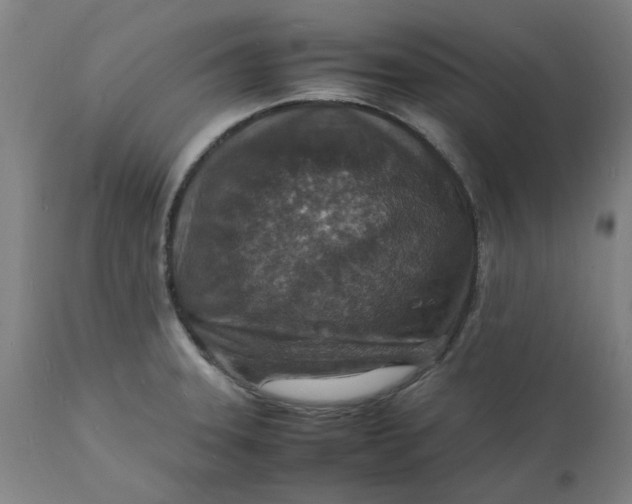 X0000112151331200908281331