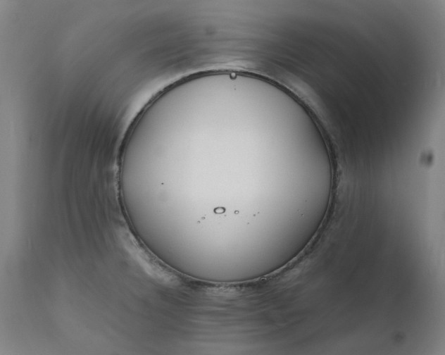 X0000112151332200908281331