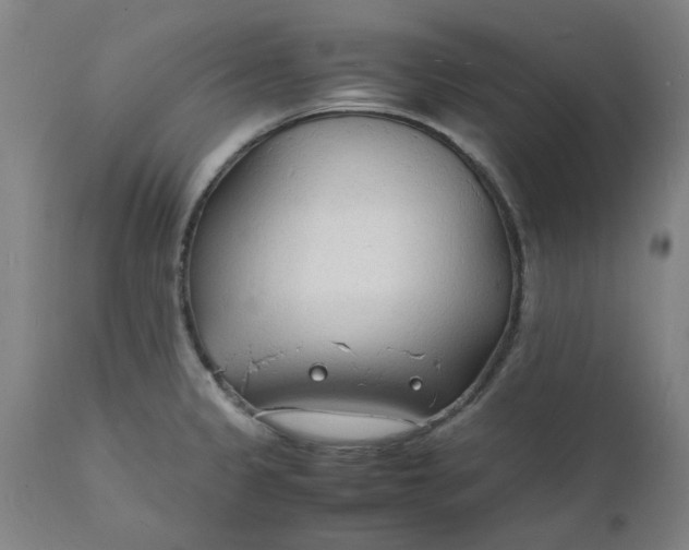 X0000112151333200908281331