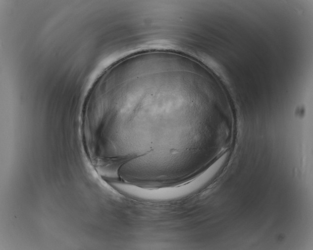 X0000112151334200908281331