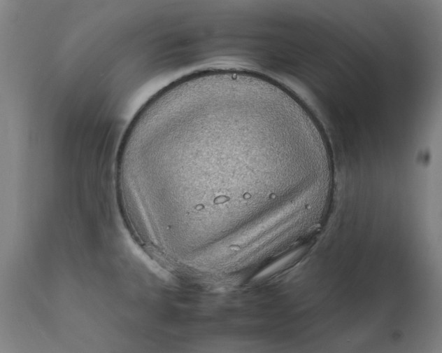 X0000112151335200908281331
