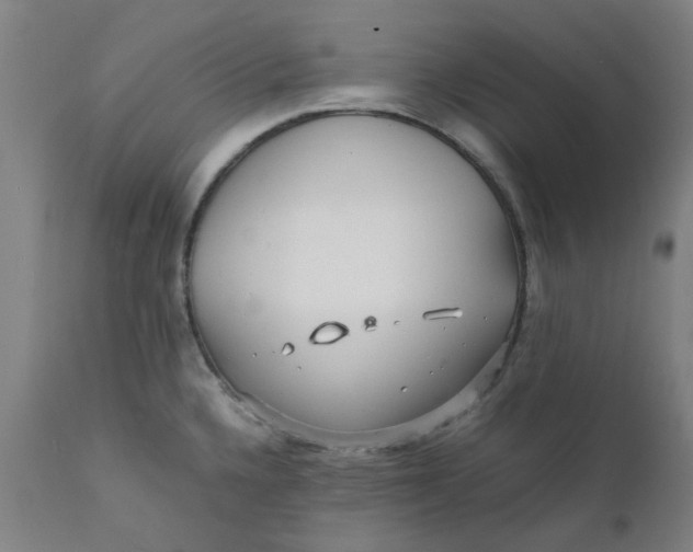 X0000112151336200908281331