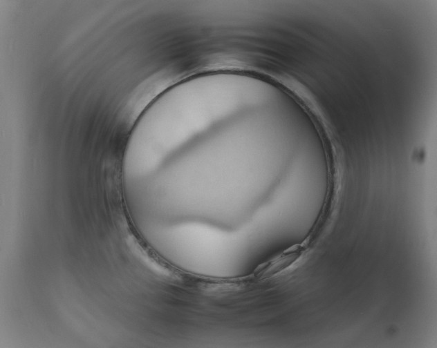 X0000112151337200908281331