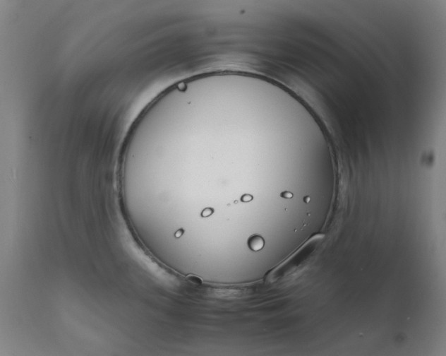 X0000112151339200908281331