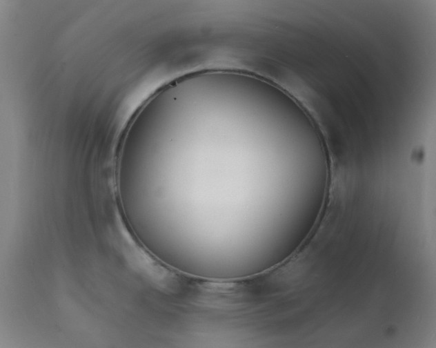 X0000112151342200908281331