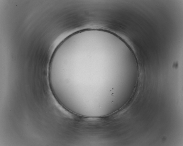 X0000112151343200908281331