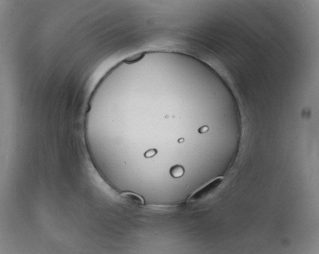 X0000112151344200908281331