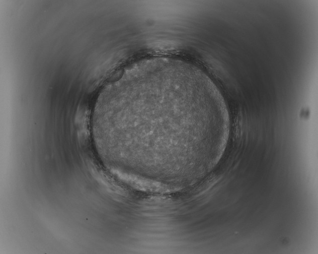 X0000112151346200908281331
