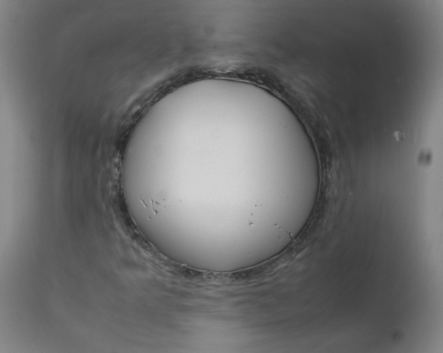 X0000112151349200908281331