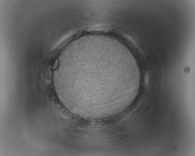 X0000112151350200908281330