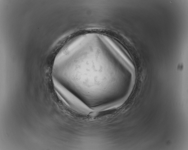 X0000112151351200908281330