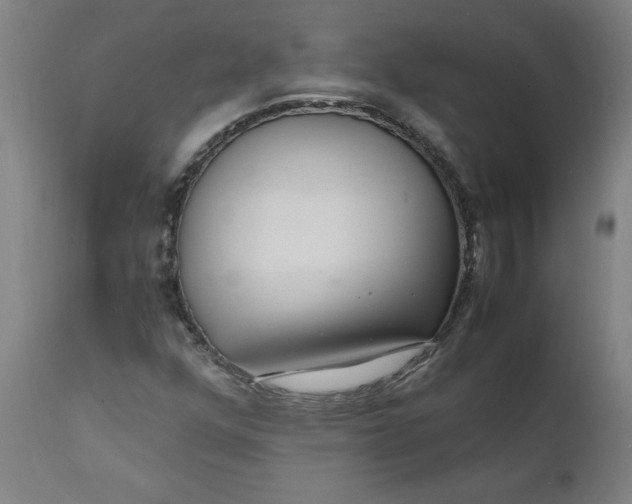 X0000112151352200908281330